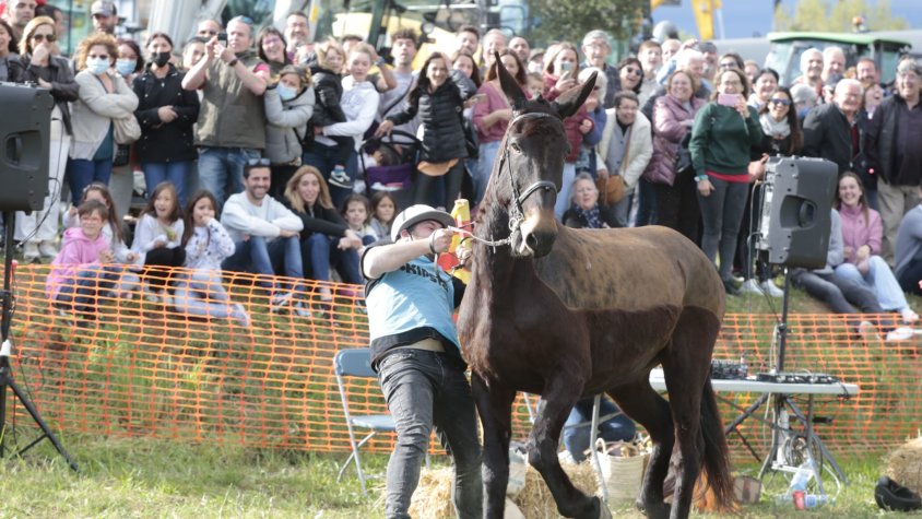 La Fira Comarcal de Primavera de Campllong torna a ser una gran festa 