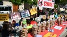 30.000 burilles de tabac recollides als carrers de Cassà