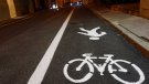 Debat sobre la seguretat per als vianants en el nou carril bici senyalitzat al Raval