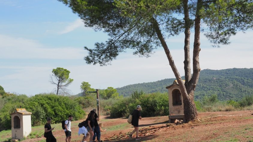 El Consorci de les Gavarres aprova un pressupost de 733.000 euros per al 2023 