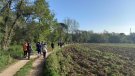 Torna la campanya 