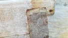 Apareix un document de prop de 900 anys d'antiguitat al fons de can Frigola