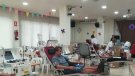 Recaptació de 132 bosses de sang i deu de plasma a les col·lectes fetes a Cassà