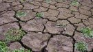 Cassà entra en estat d'emergència per la sequera i redueix la dotació a 200 litres per habitant i dia