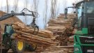 La sequera incrementa la producció de biomassa a les comarques gironines per la necessitat de retirar arbres morts 