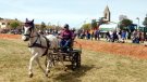 La Fira Comarcal de Primavera de Campllong arriba a la 40a edició 