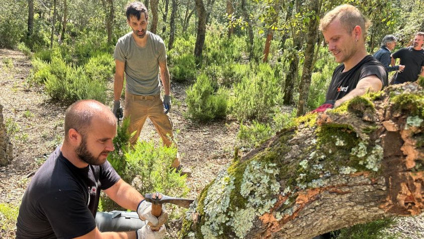 Acció Climàtica ha creat el carnet de pelador professional de suro.