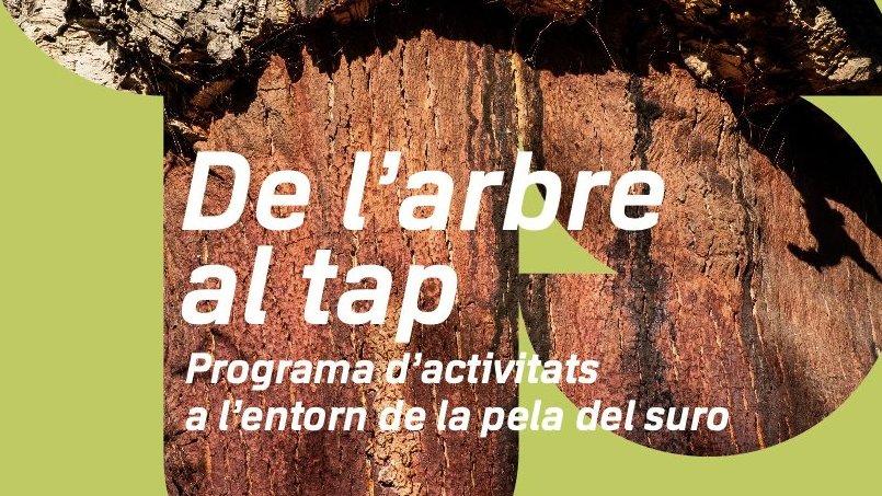 Nova edició del “De l’arbre al tap” a Cassà de la Selva i Palafrugell