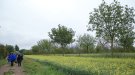 Visita a sistemes agroforestals del sud-est de França 