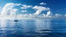 El mar de la vida