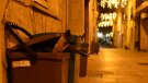 Primera nit amb els cubells al carrer