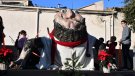 El tió comença a cagar a la plaça de la Coma