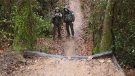 Els Agents Rurals denuncien l'auge de corriols que s'obren sense permís a les GHavarres