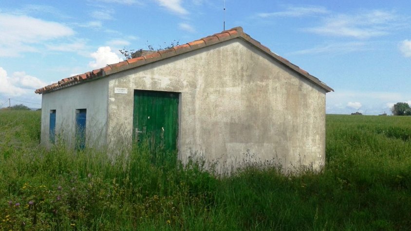 La zona on hi ha els pous amb els que s’actuarà.