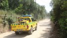 Els propietaris forestals de les Gavarres s'organitzen pel perill d'incendi