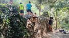 24 joves participen en la cinquena edició del camp de treball “Gavarres: natura i cultura” 