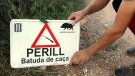 Comença una temporada de cacera amb més senglars per les pluges abundants