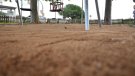 S'inaugura un parc infantil pavimentat amb 280 quilos de taps de suro reciclats