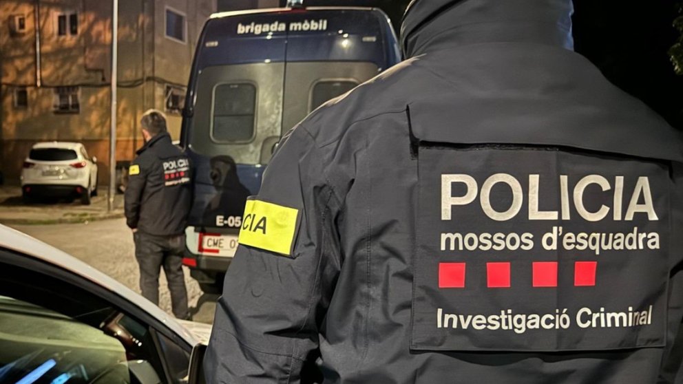 26 detinguts en l'operatiu policial contra el tràfic de marihuana
